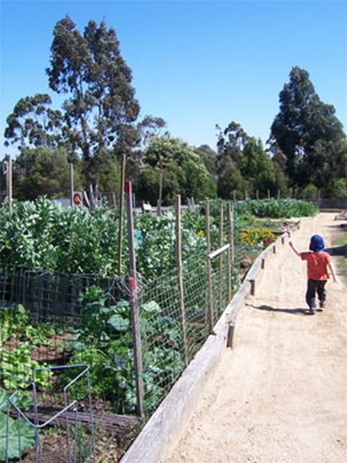 Farm04