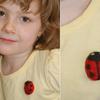 LadybugBrooch