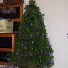 Christmas-Tree