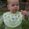 Applebib