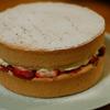 BirthdaySponge