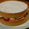 BirthdaySponge