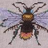 MiraBee-finished